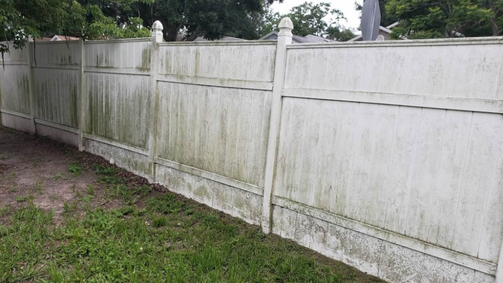 Dirty fence with algae