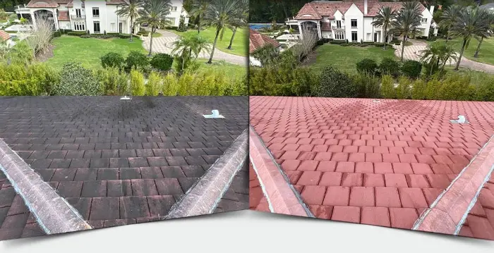Before & after roof cleaning