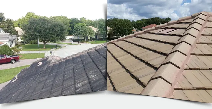 Before & after roof cleaning